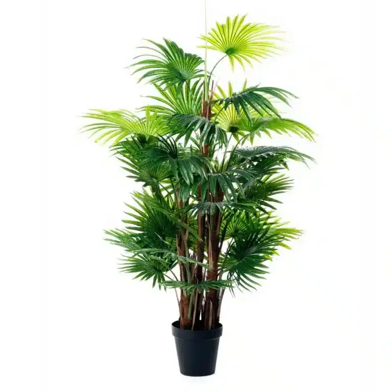 Künstliche Palmito Pflanze Dekorativ für Innenräume 140cm Sonderangebot