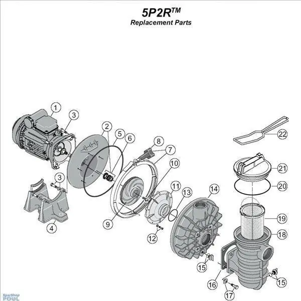 Neue Ware Sta-Rite O-Ring Pumpenplatte 5P2R + 5P4/6RPumpe R39006000# früher U9-228A