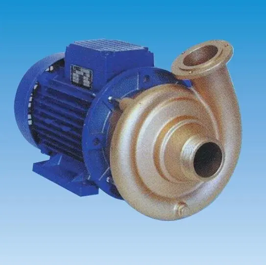Kracherpreis Gegenschwimm und Massageanlage PUMPE GSB 40 230 V 1,5 - 2,2 kW