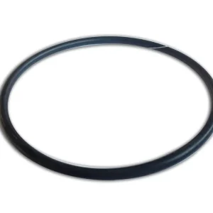 Expressversand O-Ring für Gehäuse Badu Top II vormals Bettar Serie