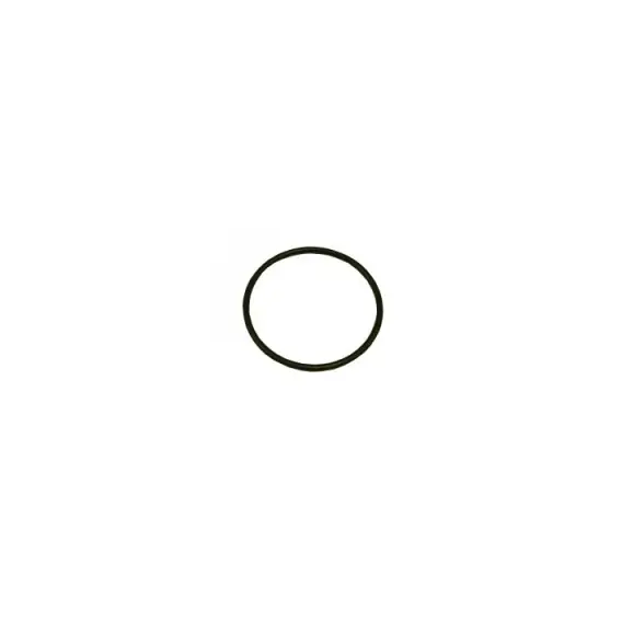 Gratis Versand O-Ring 118x4 Pumpe Sena AstralPool 4405010437