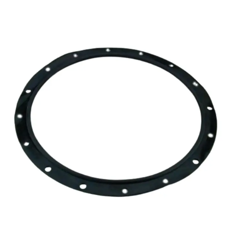 O-Ring-Dichtung für AstralPool-Filter 4404160101 Must-Have