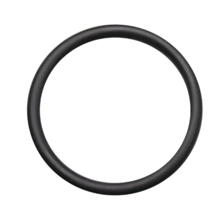 Sofort Bestellen O-Ring Astralpool 4406040103