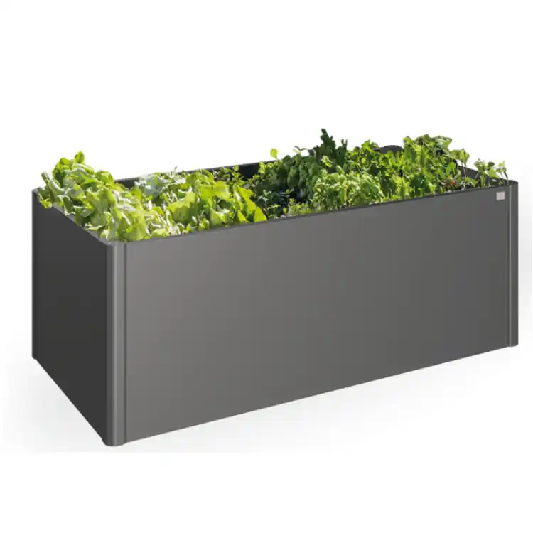 Urban Orchard Super-Preis