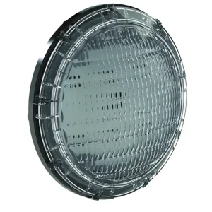 Pentair Intellibrite PAR 56 LED Ersatzleuchtmittel Top-Seller