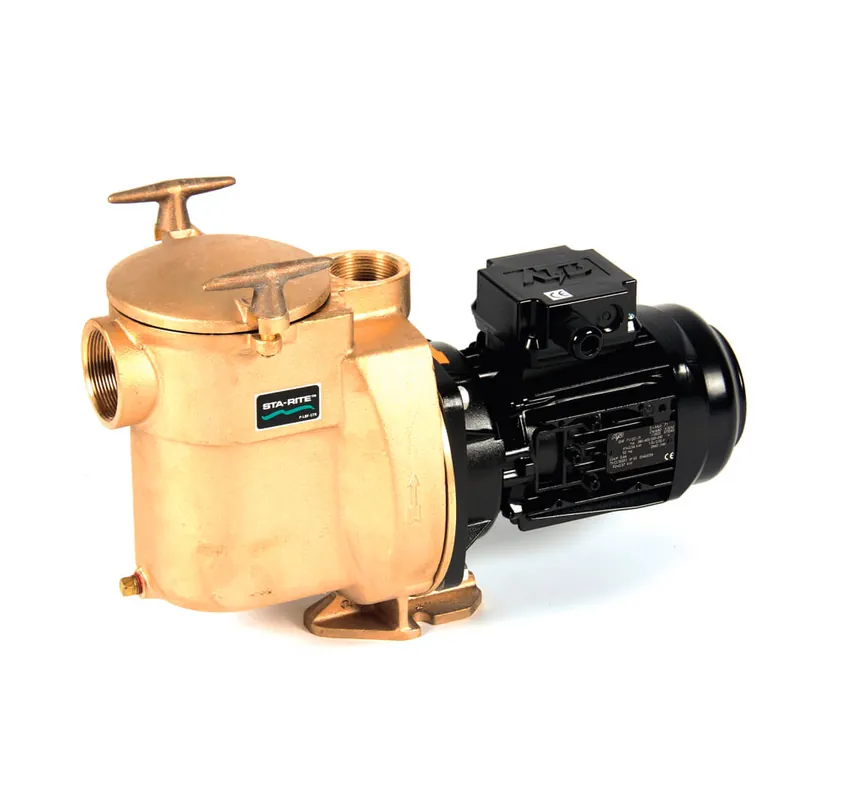 5BR STA RITE Bronzepumpe Poolpumpe Ausverkauf