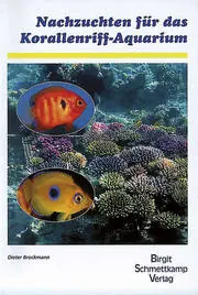 Saisonangebot Nachzuchten für das Korallen Riffaquarium