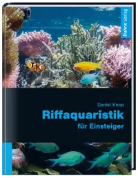 Top-Seller Riffaquaristik für Einsteiger