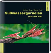 Neue Ware Süsswassergarnelen aus aller Welt