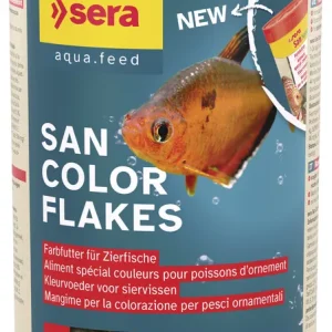 san Heißes Angebot