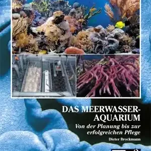 Neuheit Das Meerwasseraquarium Von der Planung bis zur Pflege