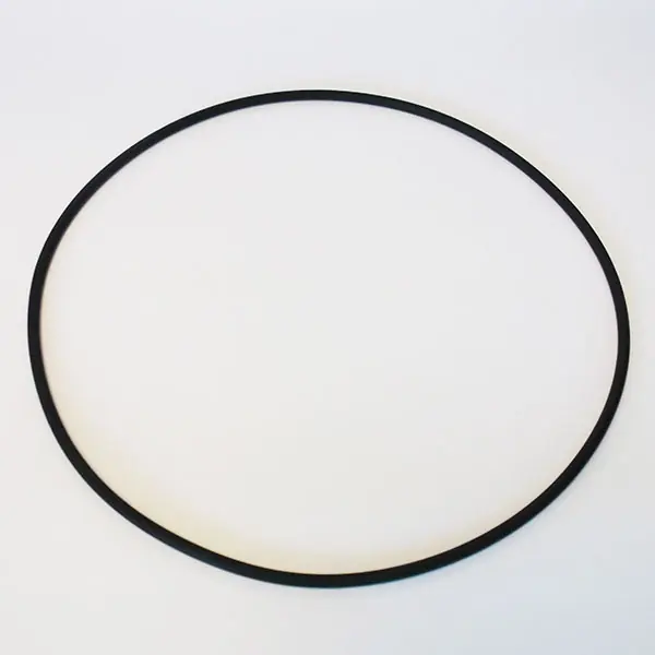 Bestpreis O-Ring für Filterbehälter für Poolfilter SF 1015 / Flow 4