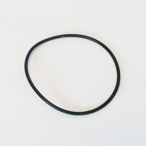 Aktuell O-Ring Grobfilter für Filterpumpe 1025 und 1050