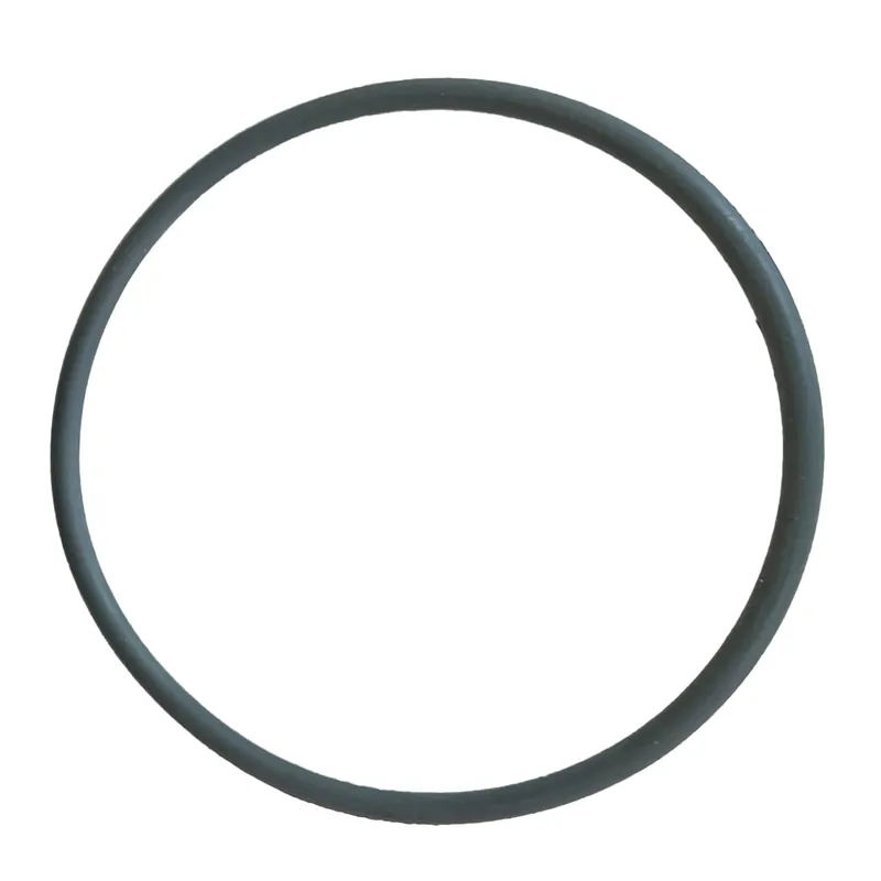 Garantierte Lieferung #6 Kesseldichtung für Sandfilter EF 455