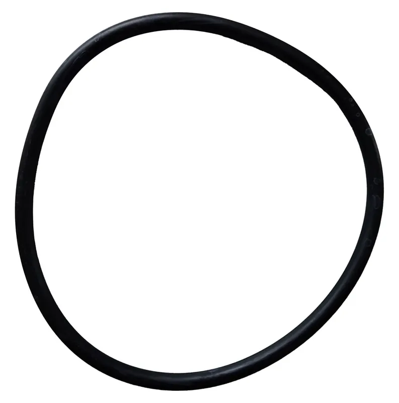 Kesseldichtung für Sandfilter EF 350 Geprüft