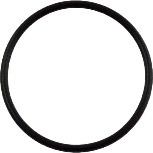 Markenware Waterway 805-0232 2,5-Zoll O-Ring / Dichtring